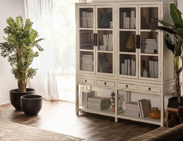 Bookcase Pivka