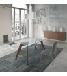 Dinning Table Skind