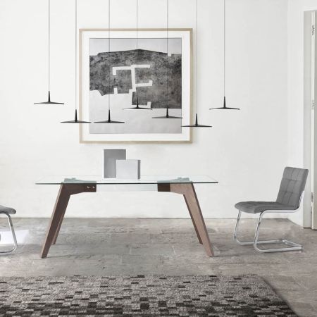 Dinning Table Skind
