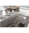 Dinning Table Plucky