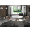 Dinning Table Extendable Biv