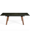 Dinning Table Extendable Crow