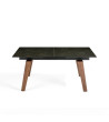 Dinning Table Extendable Crow