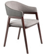 Chair Arza