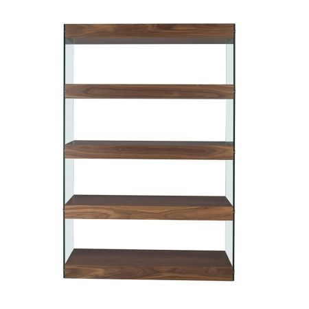 Shelf Santini