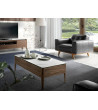 Coffee Table Sowa
