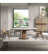 Dinning Table Extendable Ripal