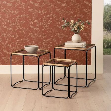 Set Coffee Table Cauch