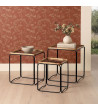 Conjunto Mesa Centro Cauch