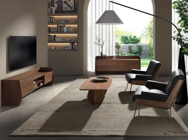 BASE TV MODEM