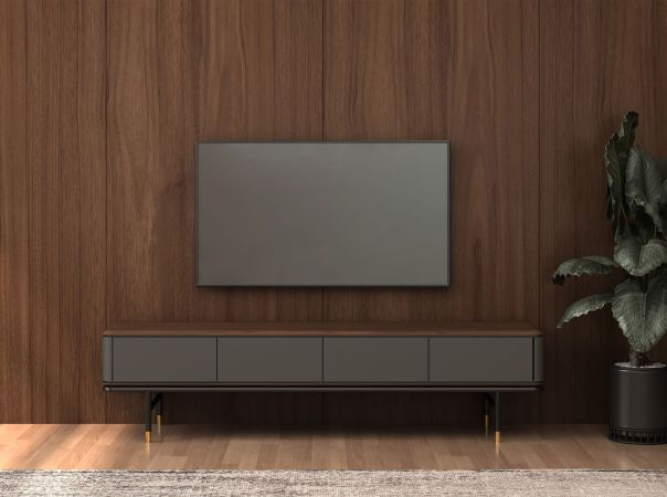 BASE TV BOLLY