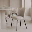 CHAIR MAXIME