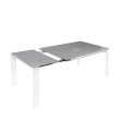 JANET EXTENDABLE DINING TABLE
