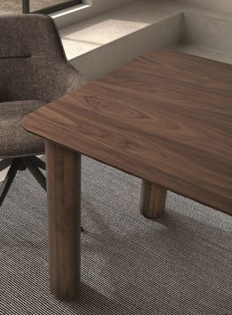 DT-503 DINING TABLE