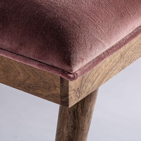 Stool Tardia